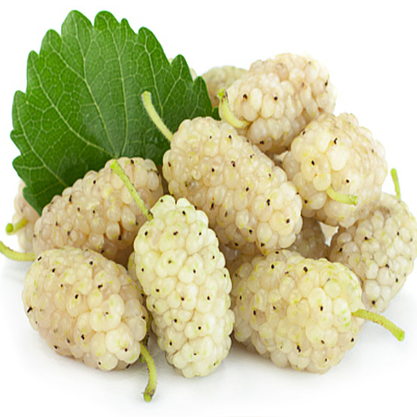 خوشمزه-نیک-توت-سفید