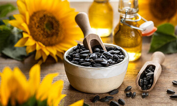 مقاله-تخمه-آفتاب-گردان