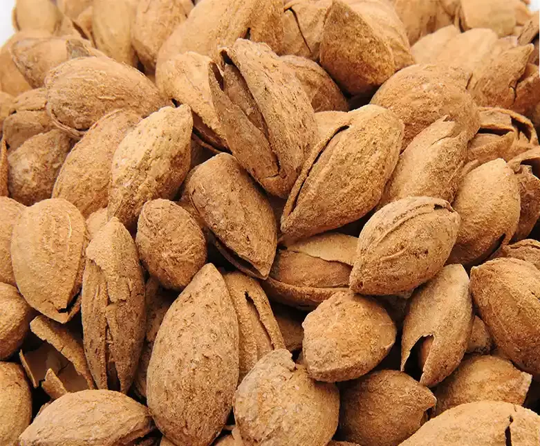 مقاله بادام درختی